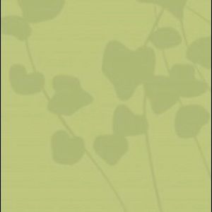 Meet your Posher, Paige